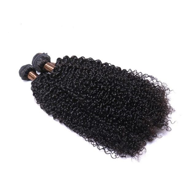 Mongolian Afro Kinky Curly